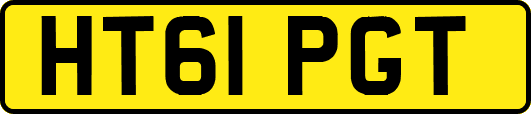 HT61PGT