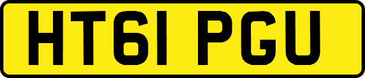 HT61PGU