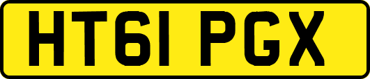 HT61PGX