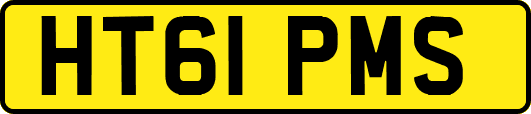 HT61PMS