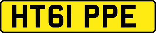 HT61PPE