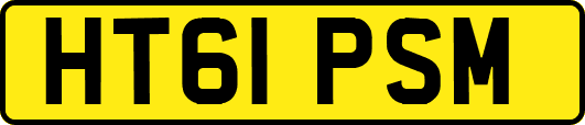 HT61PSM