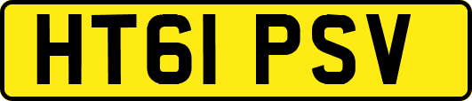 HT61PSV
