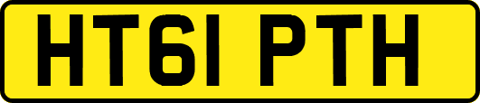 HT61PTH