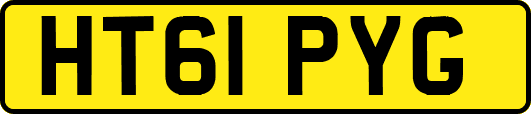 HT61PYG