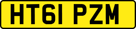 HT61PZM