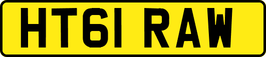 HT61RAW