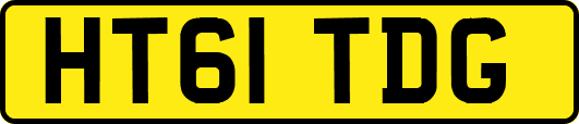 HT61TDG