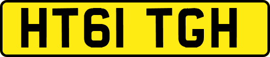 HT61TGH