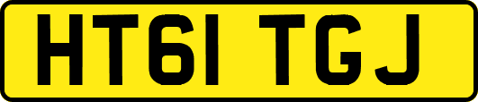 HT61TGJ