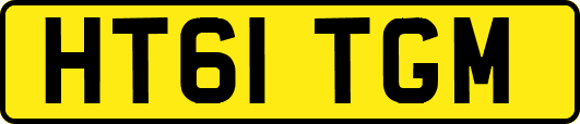 HT61TGM