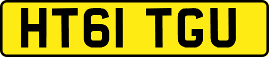 HT61TGU