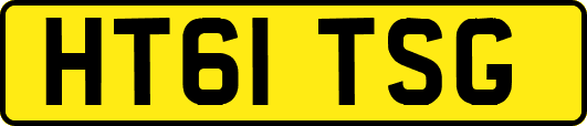 HT61TSG