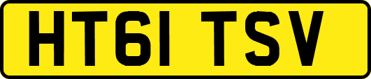HT61TSV