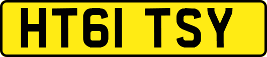 HT61TSY