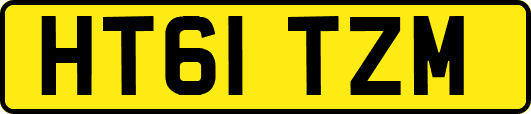 HT61TZM