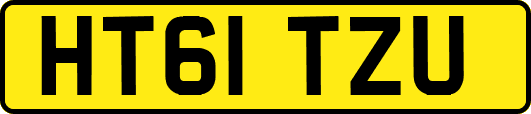 HT61TZU