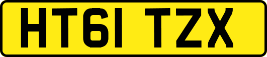 HT61TZX
