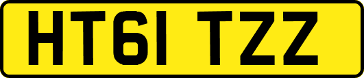 HT61TZZ