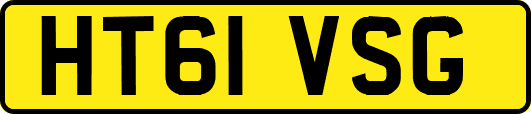 HT61VSG