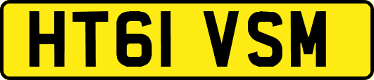 HT61VSM