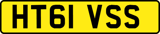 HT61VSS