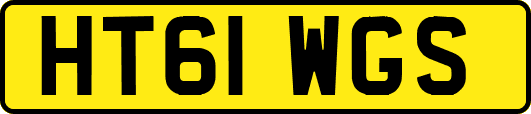 HT61WGS