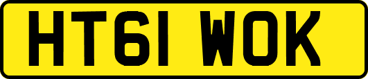 HT61WOK