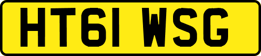 HT61WSG