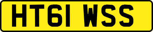 HT61WSS