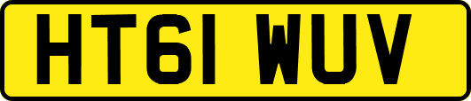 HT61WUV