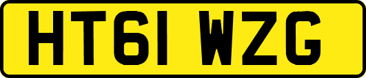 HT61WZG