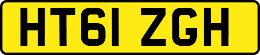 HT61ZGH