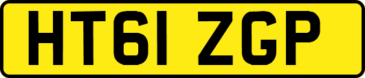 HT61ZGP