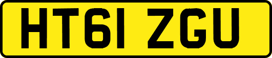 HT61ZGU