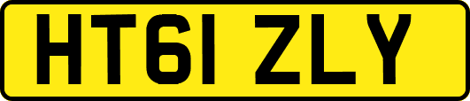 HT61ZLY