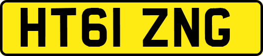 HT61ZNG