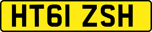 HT61ZSH