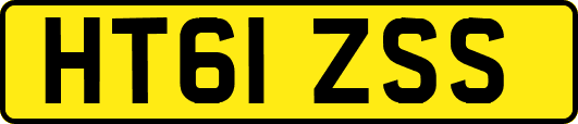 HT61ZSS