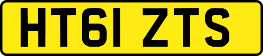 HT61ZTS