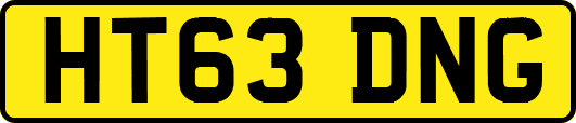HT63DNG