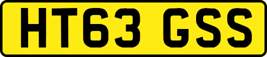 HT63GSS
