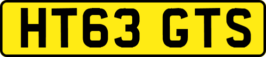 HT63GTS