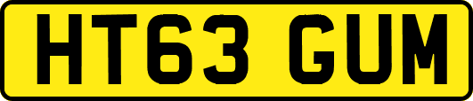 HT63GUM