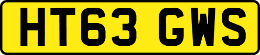 HT63GWS