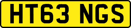 HT63NGS