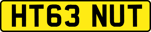 HT63NUT