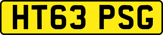 HT63PSG