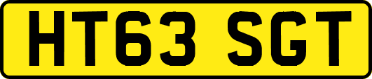 HT63SGT
