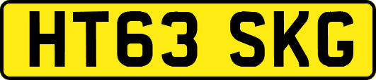 HT63SKG